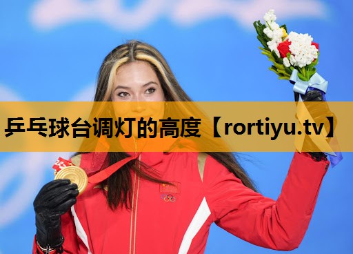 乒乓球台调灯的高度